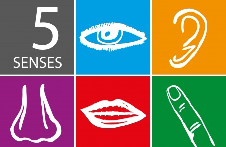 % Senses to Reconnect with your Partner